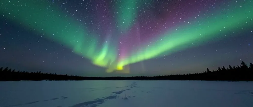 Green and purple aurora borealis dancing above a frozen snow-covered lake with distant pine forest