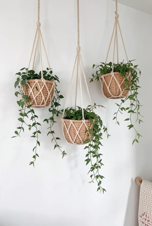 Three macrame hanging planters with trailing green plants at different heights against a white wall