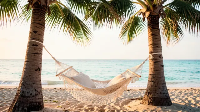 White woven hammock between palm trees on a quiet beach with turquoise ocean and golden afternoon light