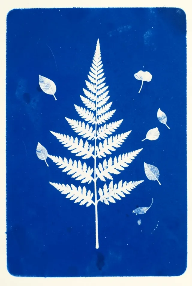 White fern and leaf silhouettes on a deep Prussian blue cyanotype print
