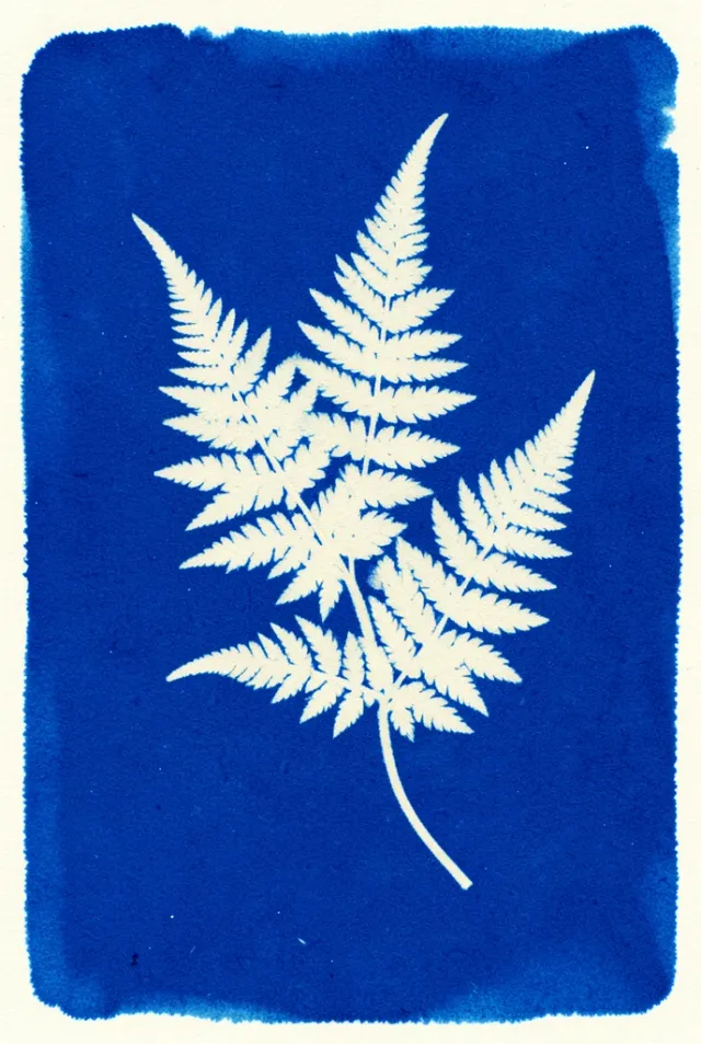 Cyanotype photogram of three pale fern fronds against a deep Prussian blue washed ground