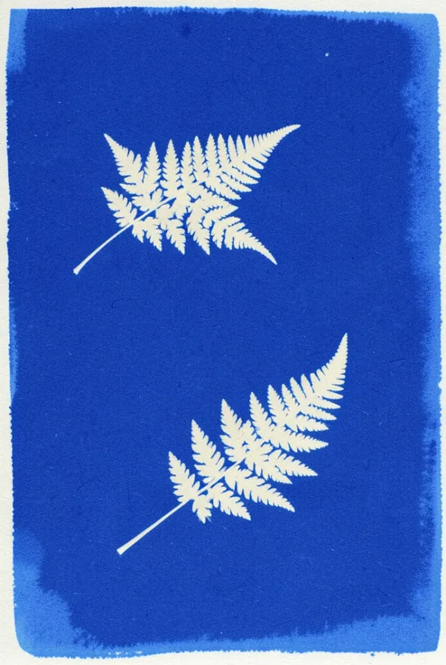 Cyanotype photogram of three pale fern fronds against a deep Prussian blue washed ground