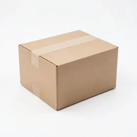 Plain brown kraft cardboard shipping box, blank and unprinted, in clean soft studio light