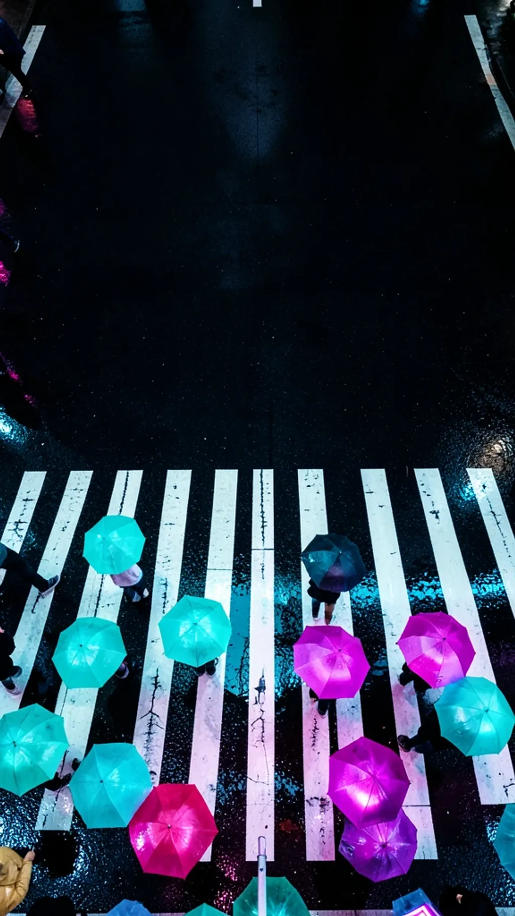 A rainy neon crosswalk seen from above with umbrellas