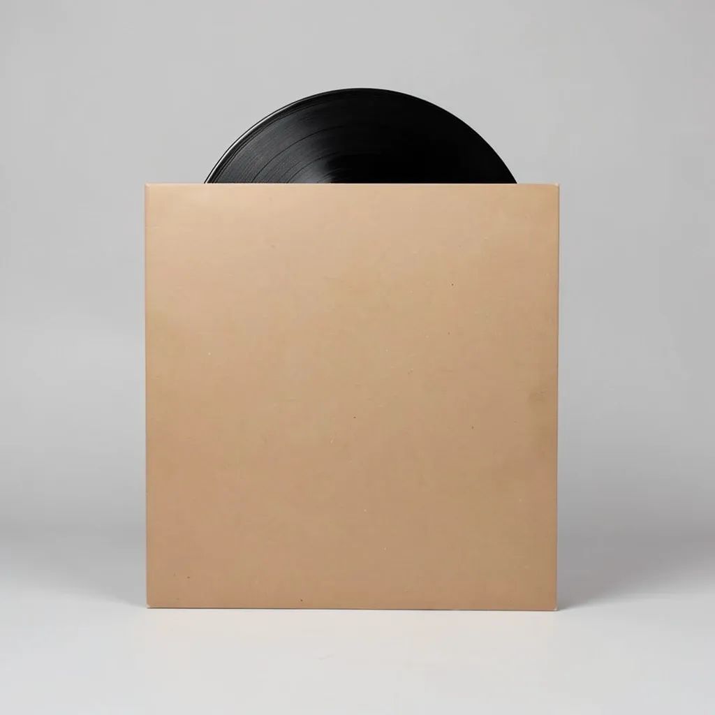 A blank matte vinyl record sleeve with a black record partly slid out, no artwork